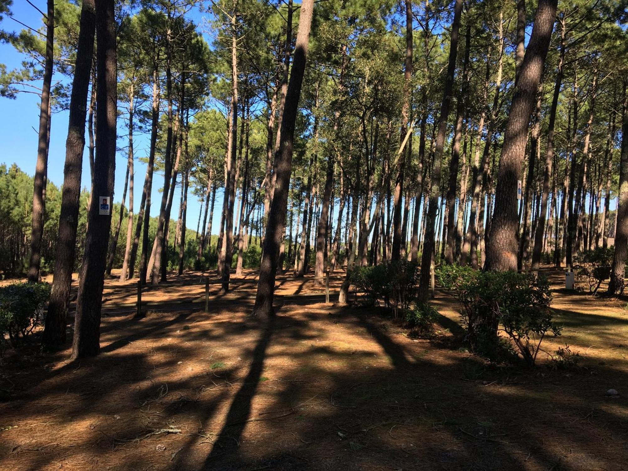 La Bergerie Des Landes Villa Lit-et-Mixe Eksteriør bilde